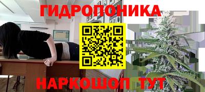 винт Партизанск
