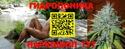 винт Партизанск
